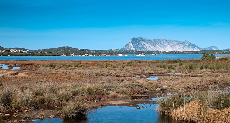 San Teodoro Laguna